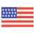 usa flag icon